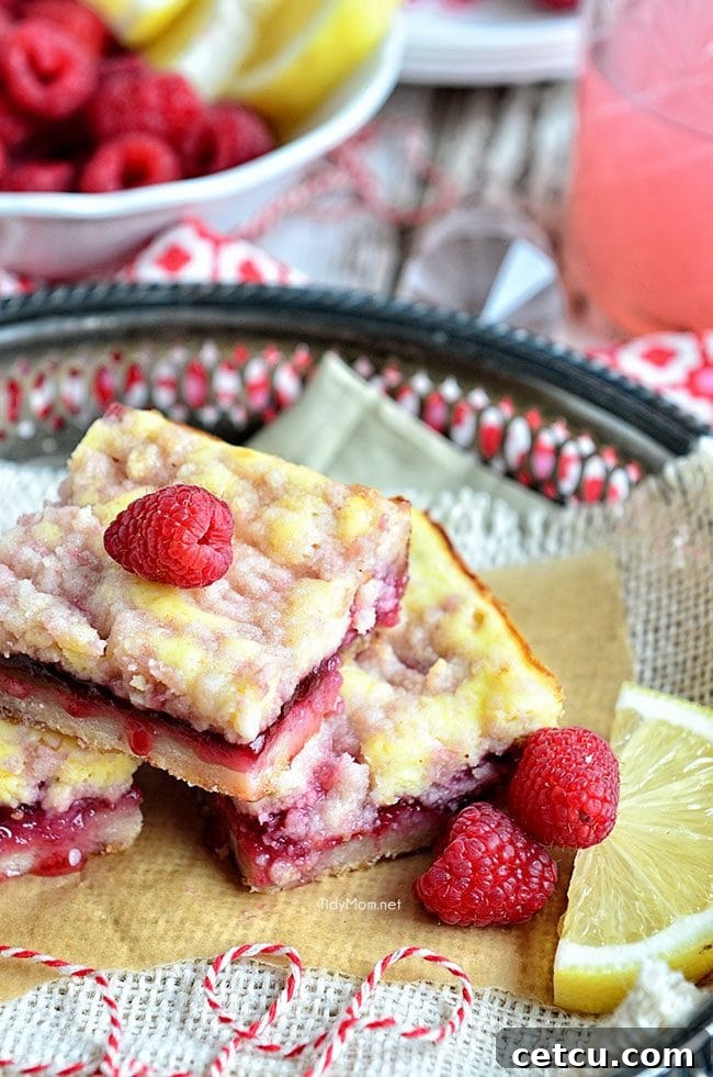 Zesty Raspberry Lemon Squares 3 Close-up view of the multi-layered Raspberry Lemonade Bars, showcasing the cookie crust, raspberry swirl, creamy cheesecake, and crumbly streusel topping.