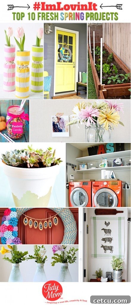 Top 10 Fresh SPRING Projects for your home at TidyMom.net