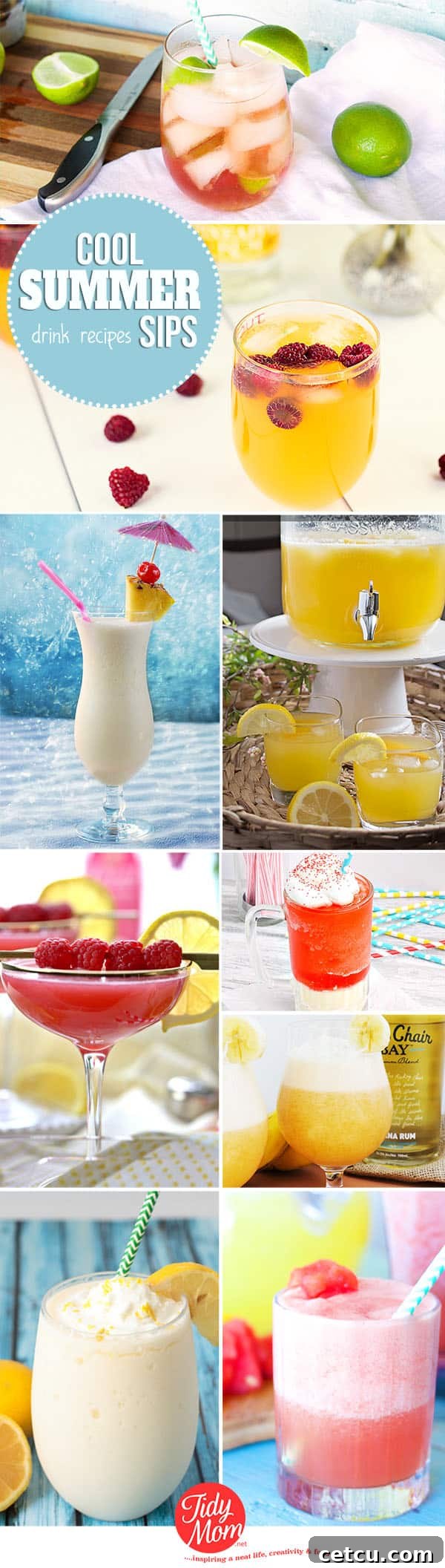Cool Summer Sips! Discover 9 amazing drink recipes to keep you refreshed and cool this summer, perfect for parties and relaxation. Find them at TidyMom.net