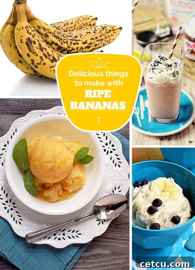 Discover delicious things to make with ripe bananas, from bread to smoothies and more! Creative recipes via TidyMom.net