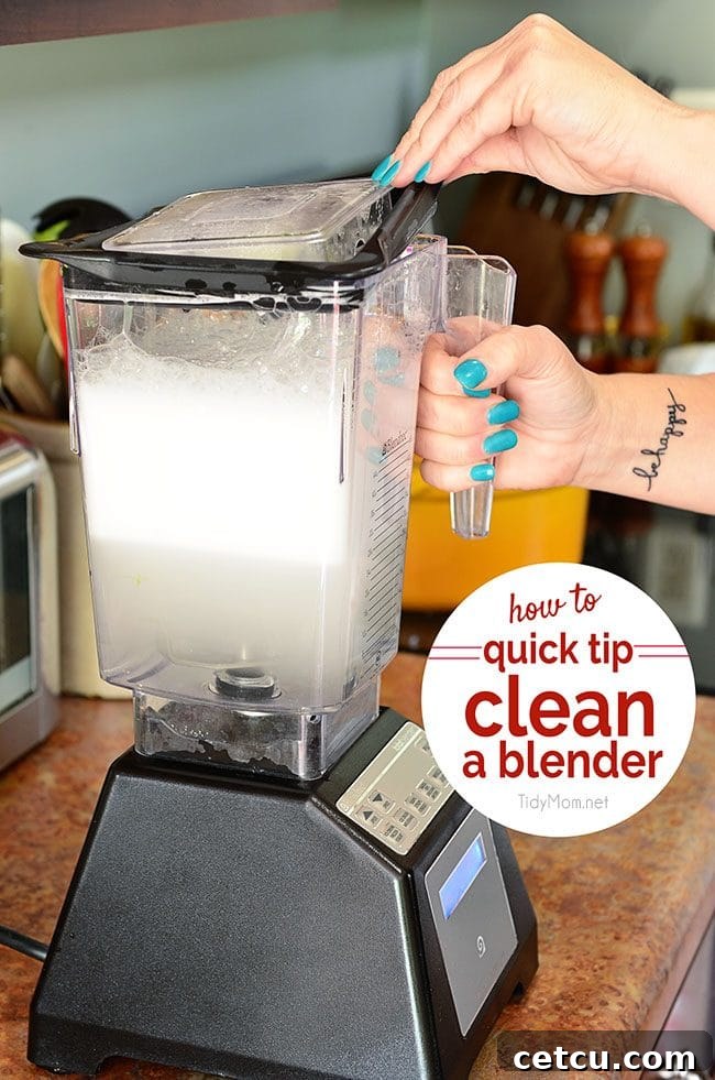 Quick Tip: How to Clean a Blender at TidyMom.net