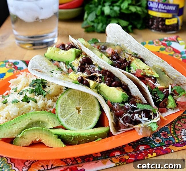 Brevard NC Mountain Escape 8 Avocado Tacos with Black Beans