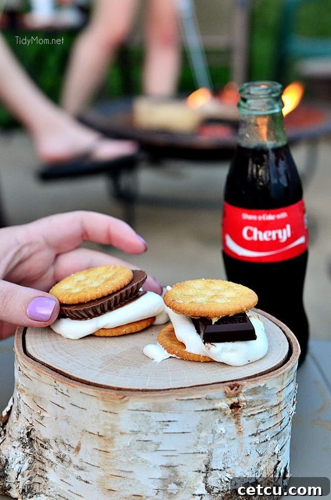 Sweet Indulgences 3 Gourmet S'mores Party at TidyMom.net