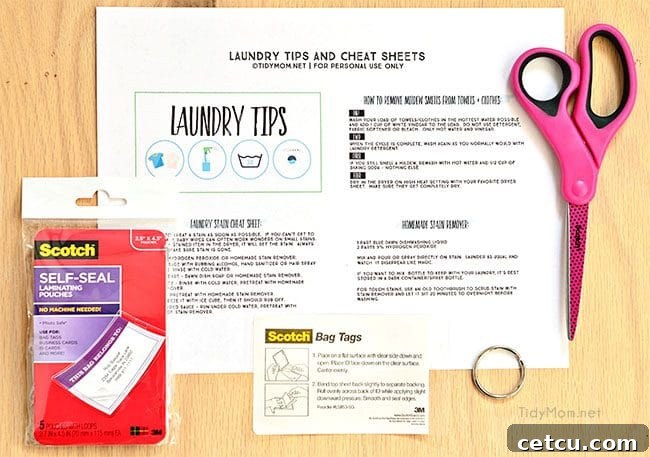 Laundry Tips and Cheat Sheets using Scotch Self-Seal Laminating pouches. Free Printable Laundry Tips at TidyMom.net