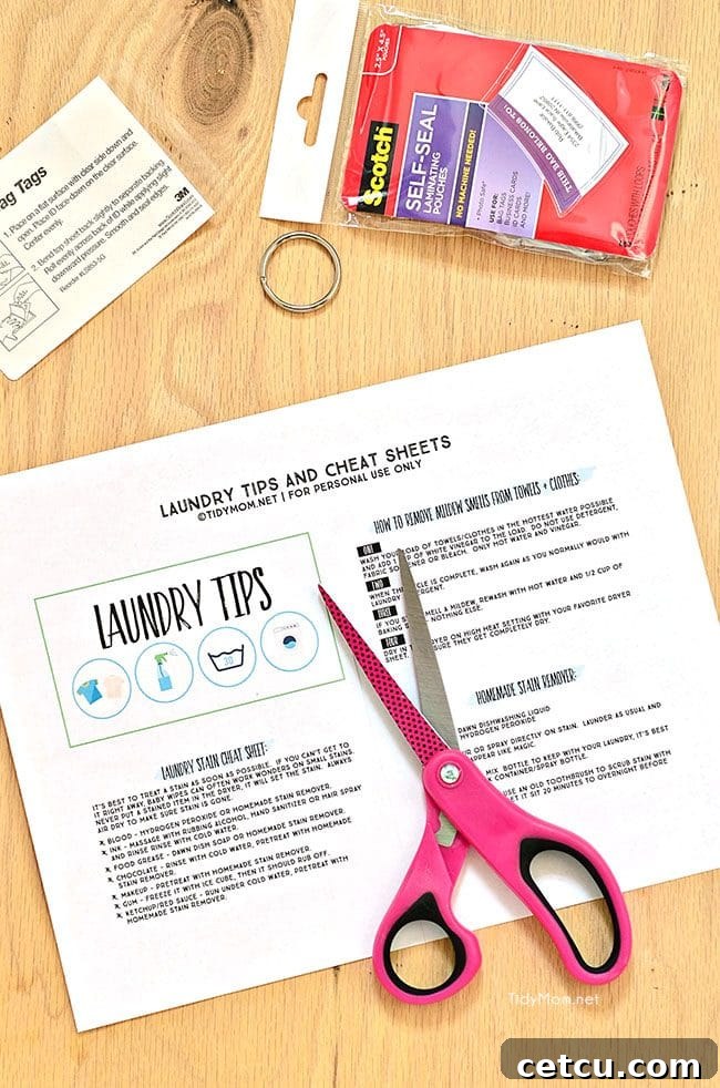 Free Printable Laundry Tips Flip Book at TidyMom.net