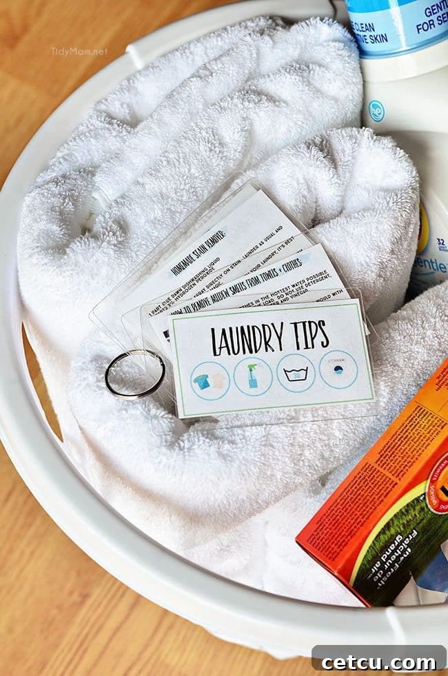 Laundry Tips and Cheat Sheets using Scotch Self-Seal Laminating pouches. Free Printable Laundry Tips at TidyMom.net