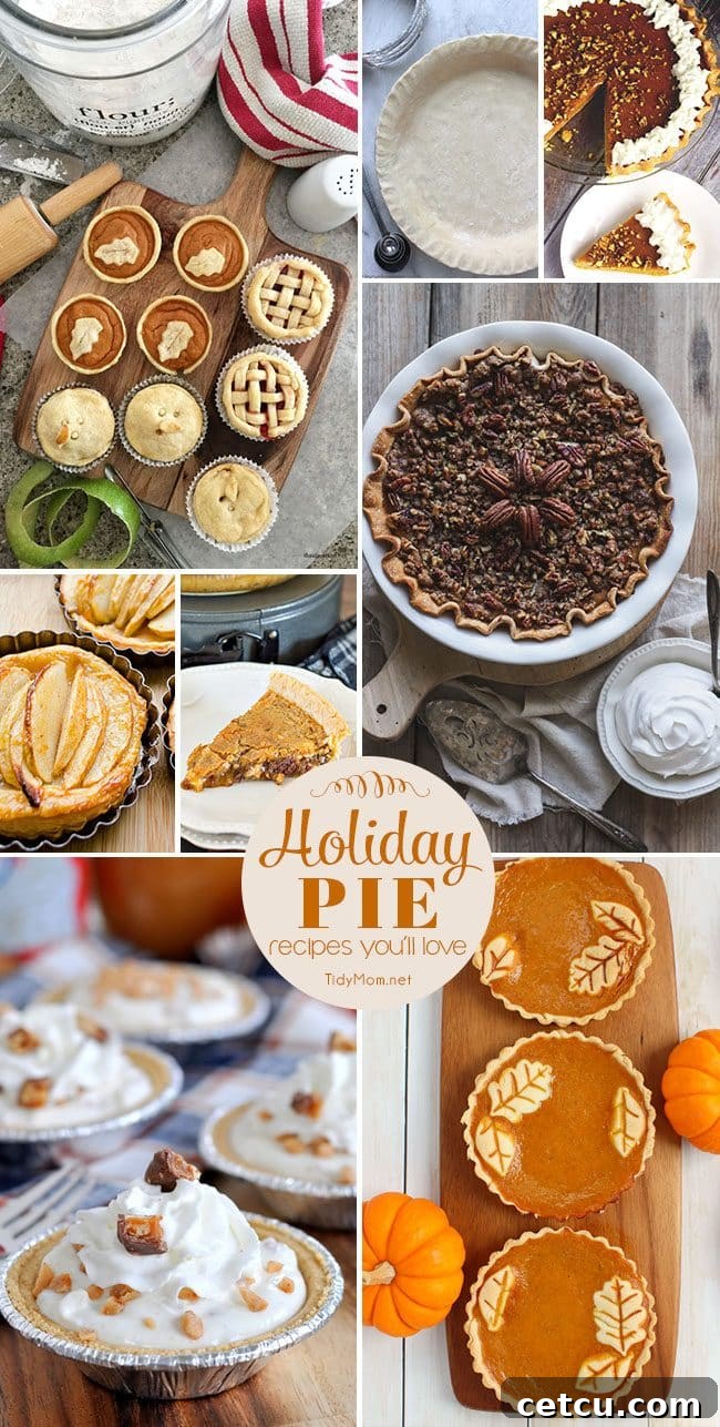 Holiday Pie Delights 2 Holiday Pie Recipes You’ll Love. From Pumpkin Pie, to Pecan Pie, Apple Tarts to Cookie Pie and so many more pie recipes at TidyMom.net