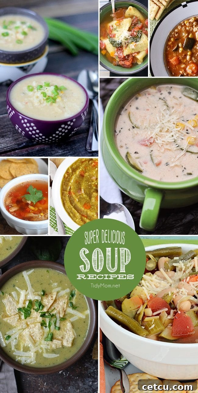 A vibrant collage showcasing 8 super delicious soup recipes, perfect for cozy winter meals. Features various hearty and healthy soups in rustic bowls.