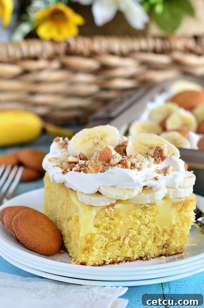 Space Reimagined 4 Everything to love about banana pudding comes together in this easy, crowd-pleasing Banana Pudding Poke Cake recipe at TidyMom.net