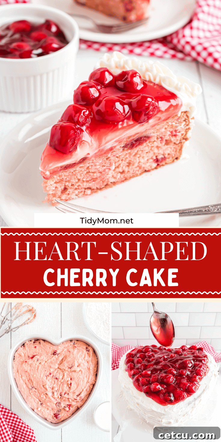 Heart Shaped Cherry Cake on Pinterest
