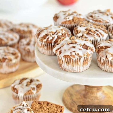 Feature image of Apple Spice Muffins with Streusel Topping, a delightful fall breakfast or snack recipe.
