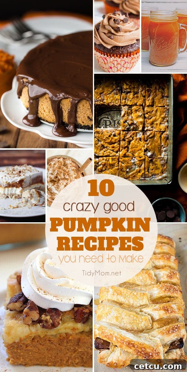 Collection of PUMPKIN RECIPES you need to make this fall. From Slow Cooker Pumpkin Spice Latte and Pumpkin Cheesecake to Pumpkin Dump Cake, Harry Potter Pumpkin Juice and more! Find all the crazy good pumpkin recipes at TidyMom.net