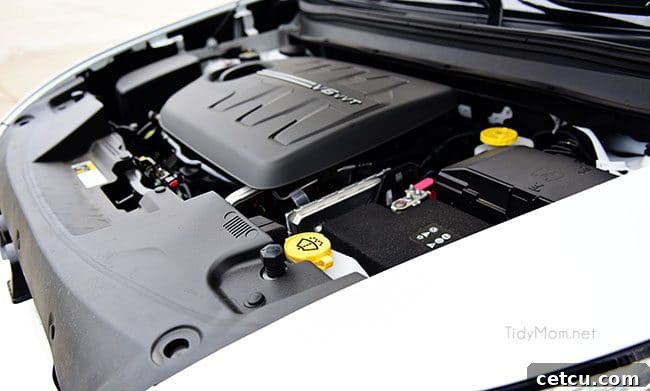 Checking car fluid levels under the hood for spring maintenance.