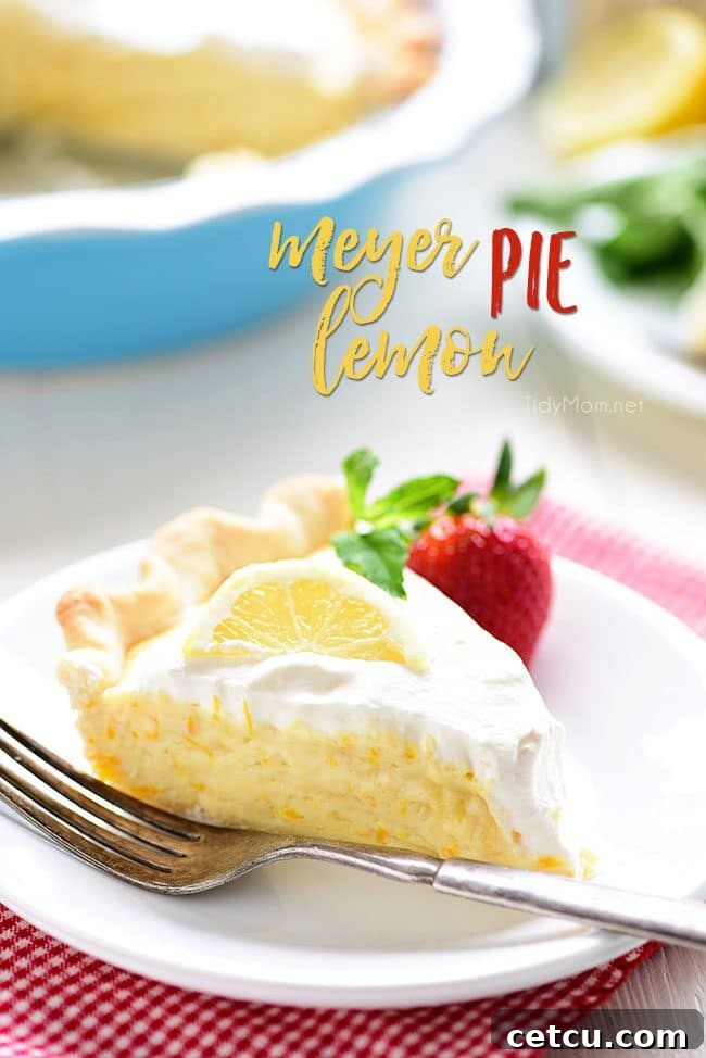 Mother’s Day Brunch Meal Plan recipes, printables and decor at TidyMom.net - Meyer Lemon Pie Recipe