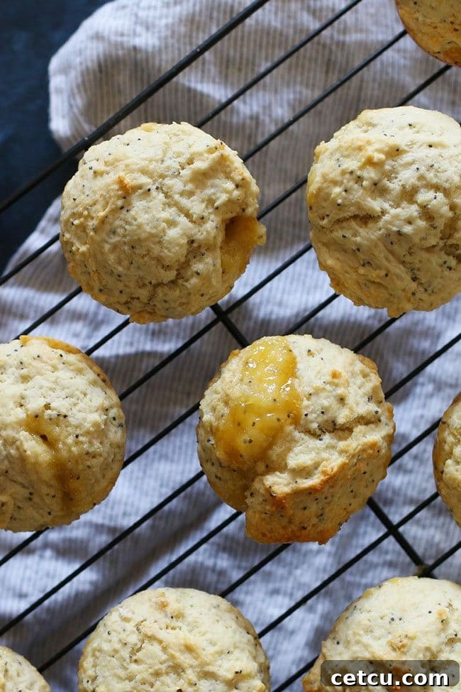 Mother’s Day Brunch Meal Plan recipes, printables and decor at TidyMom.net - Lemon Poppy Seed Muffin recipe