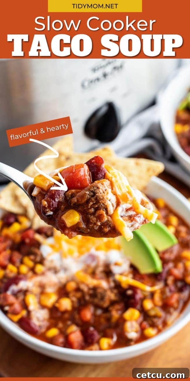 A close-up of a spoonful of soup, showing the rich blend of ingredients and the inviting texture.