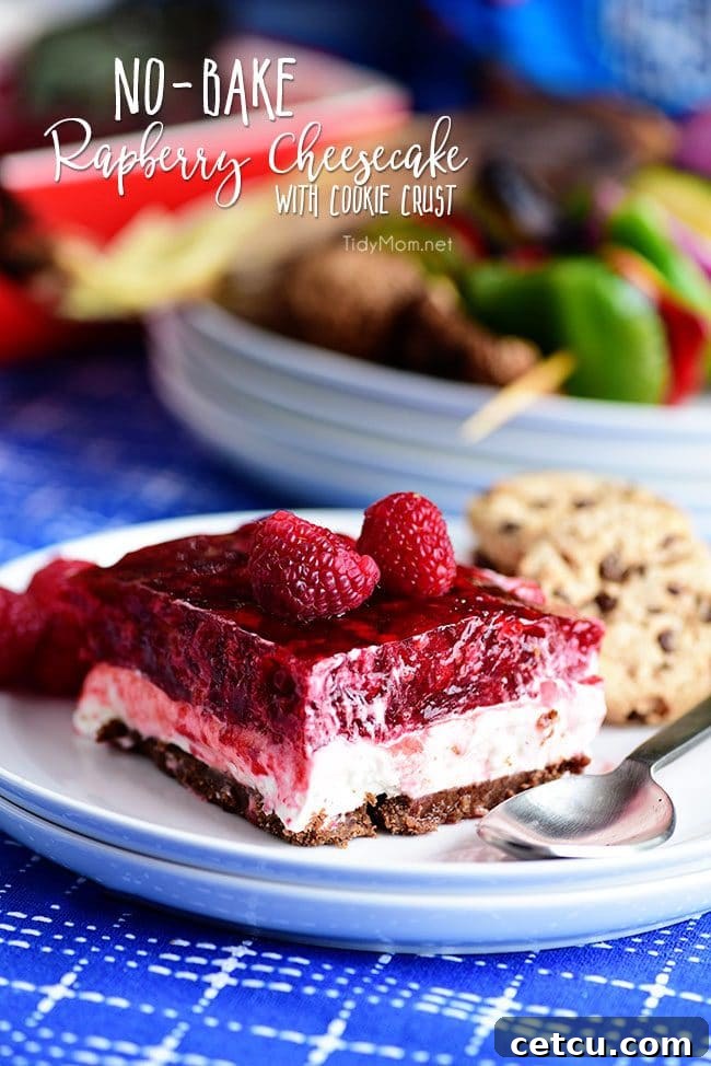 A vibrant slice of No-Bake Raspberry Cheesecake with a visible chocolate chip cookie crust, served on a white plate. Perfect for summer gatherings.