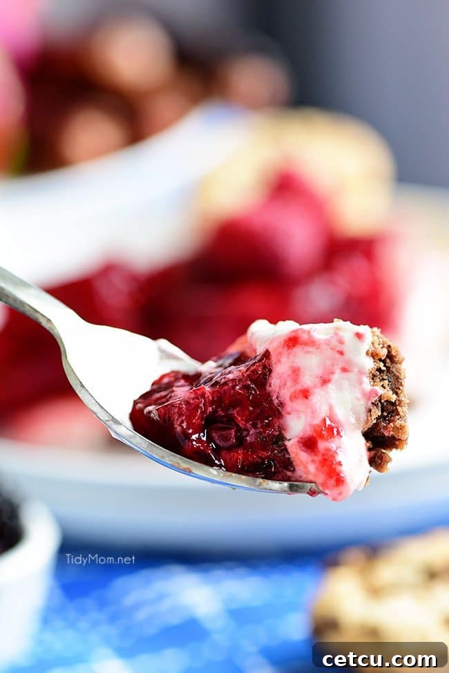 A close-up of a single bite of the No-Bake Raspberry Cheesecake, showcasing its creamy layers and cookie crust.