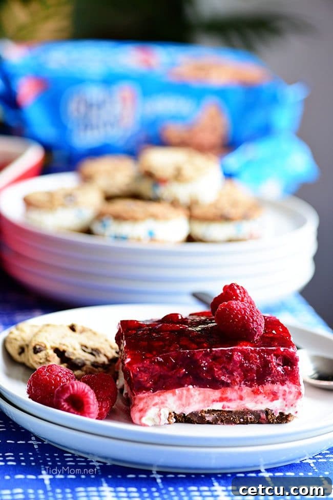 The distinct layers of chocolate chip cookie crust, cream cheese filling, and vibrant raspberry gelatin in a No-Bake Raspberry Cheesecake.