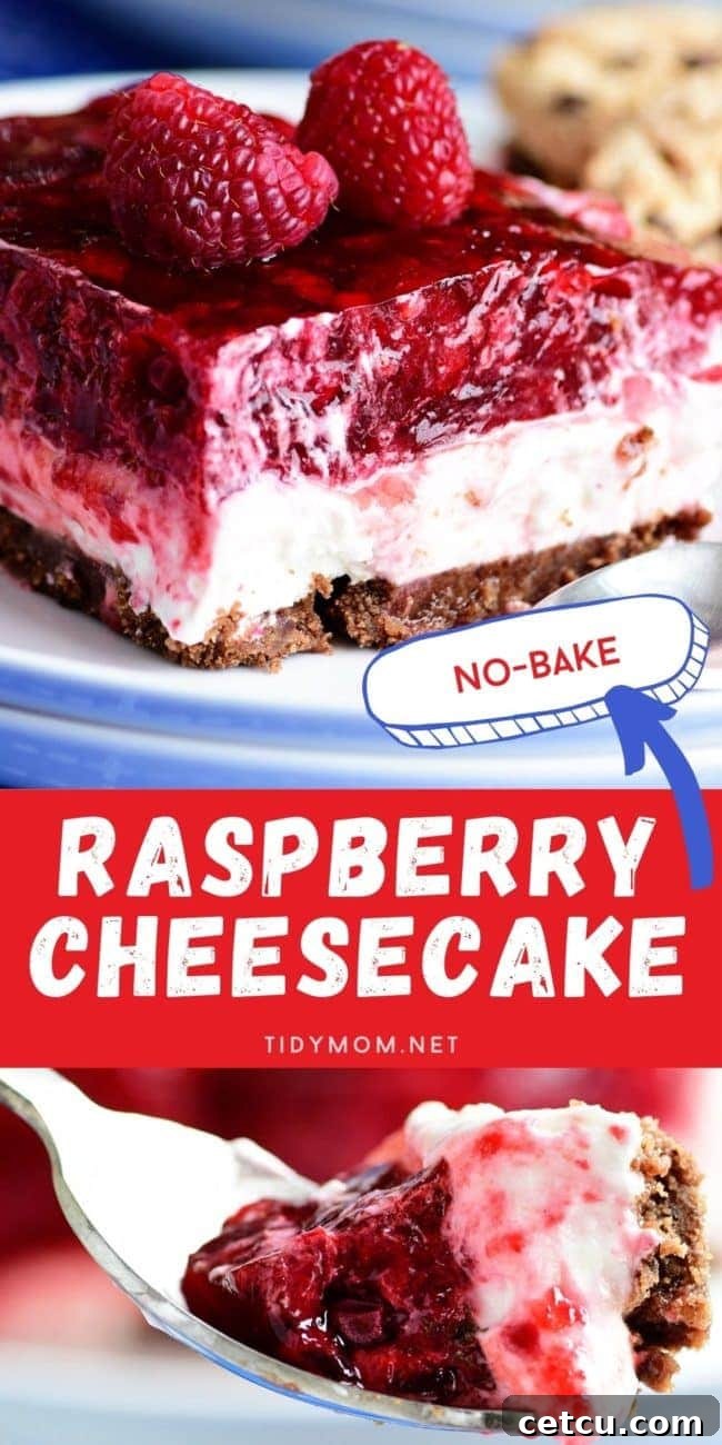 A beautifully presented slice of No-Bake Raspberry Cheesecake on a plate with a fork, ready to be enjoyed.