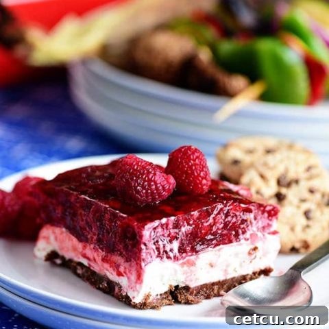 No-Bake Raspberry Cheesecake with Cookie Crust, featuring a creamy filling and bright raspberry topping. Perfect for summer.