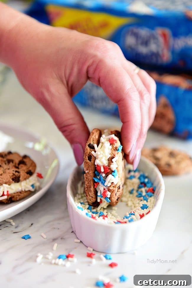 A partially assembled chocolate chip cookie sandwich with frosting, ready for sprinkles.