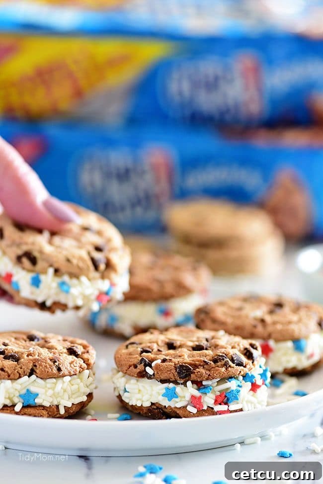 A completed chocolate chip cookie sandwich, generously coated with colorful sprinkles, ready to be enjoyed.