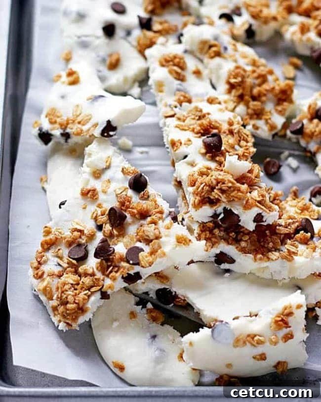 Healthy Chocolate Chip Granola Frozen Yogurt Bark, a refreshing and customizable treat.