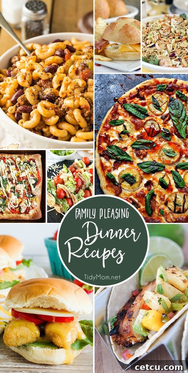Discover Family pleasing DINNER RECIPES at TidyMom.net designed to satisfy the whole crew, even picky eaters, with simple and delicious meal solutions.