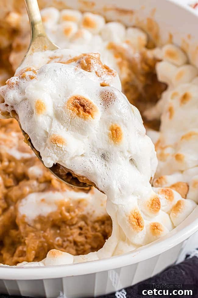 A spoonful of classic Sweet Potato Casserole with golden-brown toasted marshmallows, ready to be served from a festive dish.