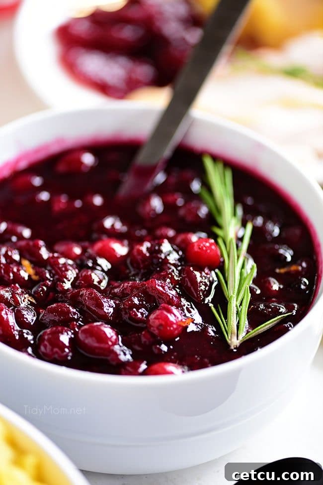 A bowl of Fresh Cranberry Sauce, garnished with a sprig of rosemary, showcasing its rich color and chunky texture, perfect for a holiday meal.