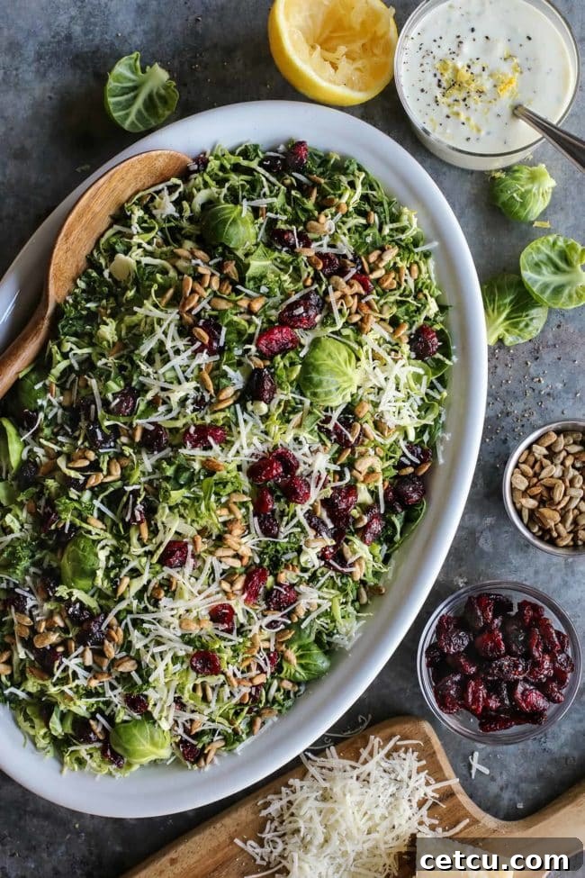 A vibrant Shaved Brussels Sprouts Salad, featuring kale, dried cranberries, sunflower seeds, and Parmesan, dressed with a lemon yogurt dressing.