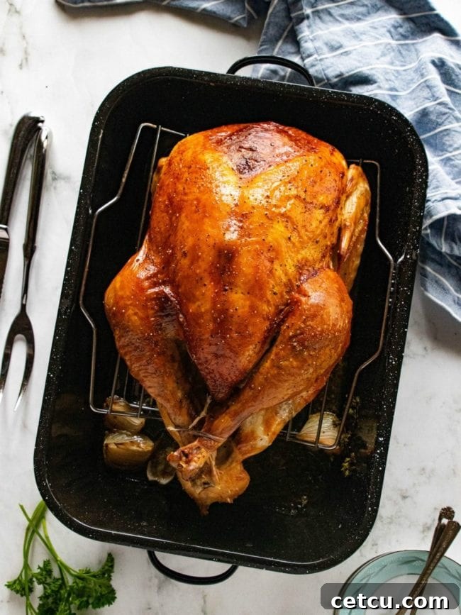 A golden-brown Apple Cider-Brined Turkey, beautifully roasted, with savory herb gravy, presented on a platter.