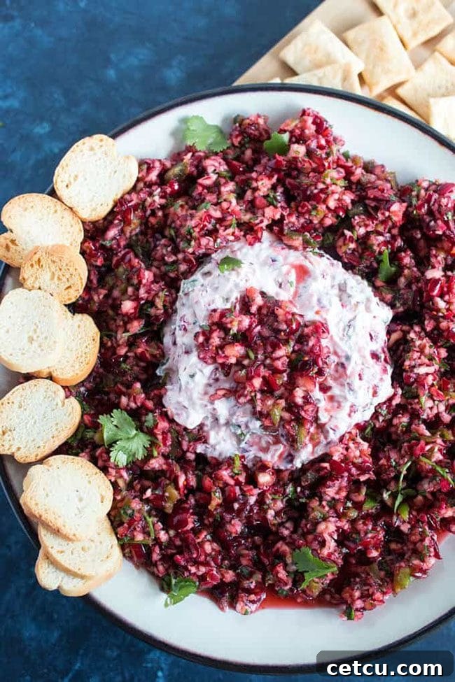 Close-up of a Cranberry Jalapeno Cream Cheese Appetizer from Honey and Birch, showcasing the colorful salsa atop cream cheese, ready to be served.