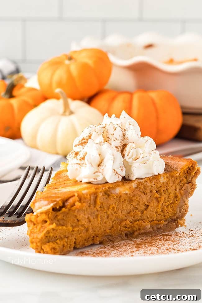 A slice of Pumpkin Cheesecake Pie with a generous dollop of whipped cream on top, ready to be enjoyed.