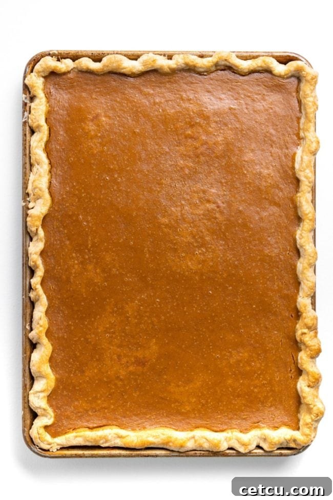 A large Pumpkin Slab Pie, beautifully baked and garnished, showcasing its capacity to serve many guests.