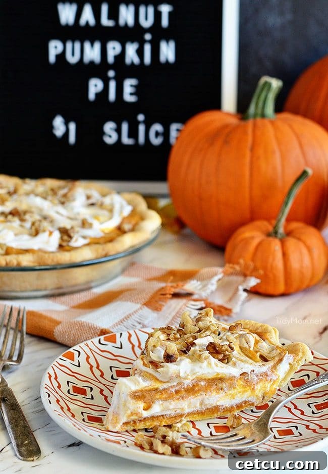 A slice of Layered Walnut Pumpkin Pie on a white plate, showing the distinct layers of creamy pumpkin and Cool Whip, garnished with walnuts.