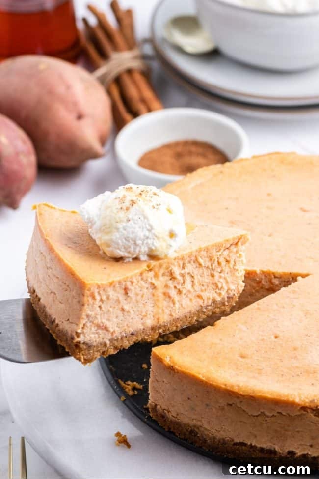 A beautifully presented Roasted Sweet Potato Cheesecake with Maple Cream, garnished with pecans, ready to be served.
