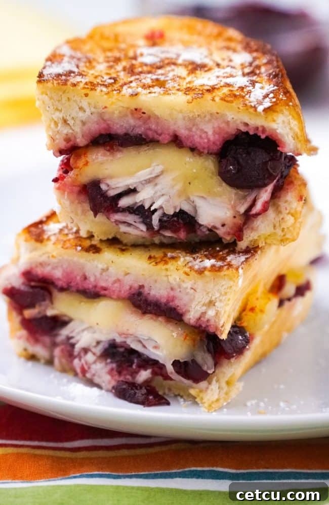 A close-up of a Leftover Turkey-Cranberry Monte Cristo Sandwich, golden-brown and dusted with powdered sugar, with a side of cranberry sauce.