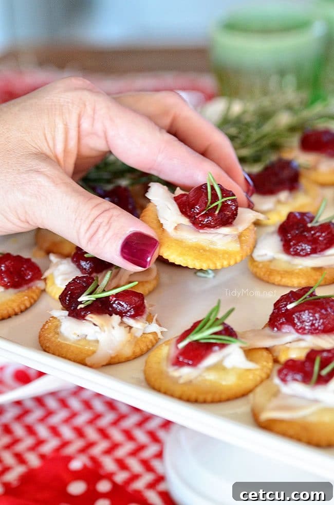 A plate of Turkey Cranberry Topper appetizers, featuring crackers with melted cheese, turkey, and cranberry sauce, ready to serve.