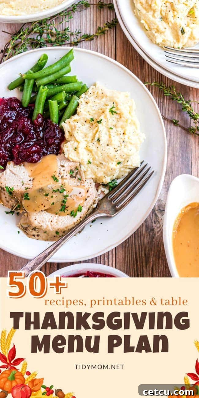 A beautifully plated Thanksgiving dinner with sliced turkey, green beans, mashed potatoes, and cranberry sauce, ready to be enjoyed.