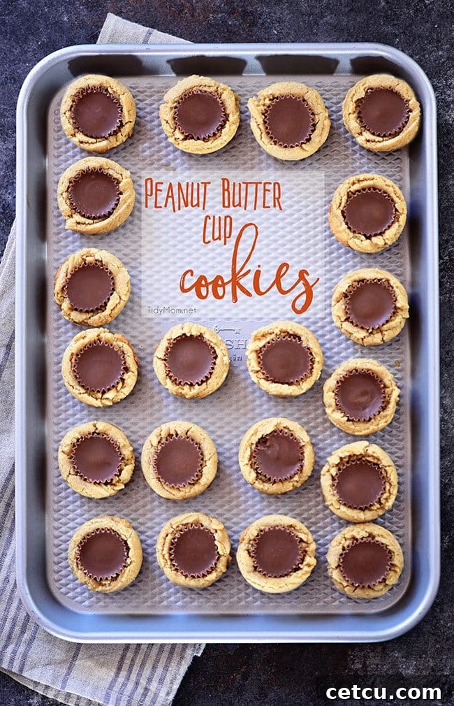 A close-up of delicious Peanut Butter Cup Cookies, showcasing their golden-brown edges and a glimpse of the chocolate peanut butter cup nestled within. Perfect for holidays or any sweet craving.
