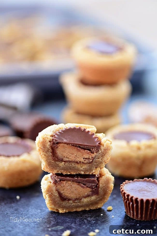 A decadent close-up of a Peanut Butter Cup Cookie, showing the soft, golden cookie dough cradling a partially melted chocolate peanut butter cup, making it utterly desirable.