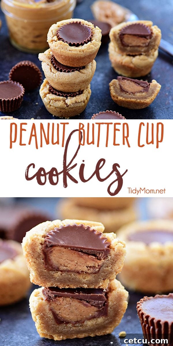 If you like peanut butter, you’re going to LOVE these Peanut Butter Cup Cookies. A peanut butter cookie cup with a chocolate covered peanut butter cup in the middle! A favorite treat any time of year, and perfect for Christmas cookie trays! They are super easy to make if you follow a few tips I’m sharing. Visit TidyMom.net for printable recipe + how to video #cookies #peanutbutter