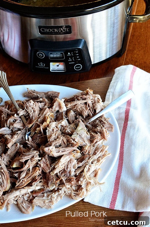 Delicious Pulled Pork in the Crock-Pot® Slow Cooker - recipe at TidyMom.net