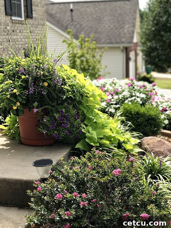 A vibrant display of front yard flowers in full bloom, showcasing colorful spring gardening with well-chosen plants. Ideas for beautiful and pest-deterring flower arrangements.