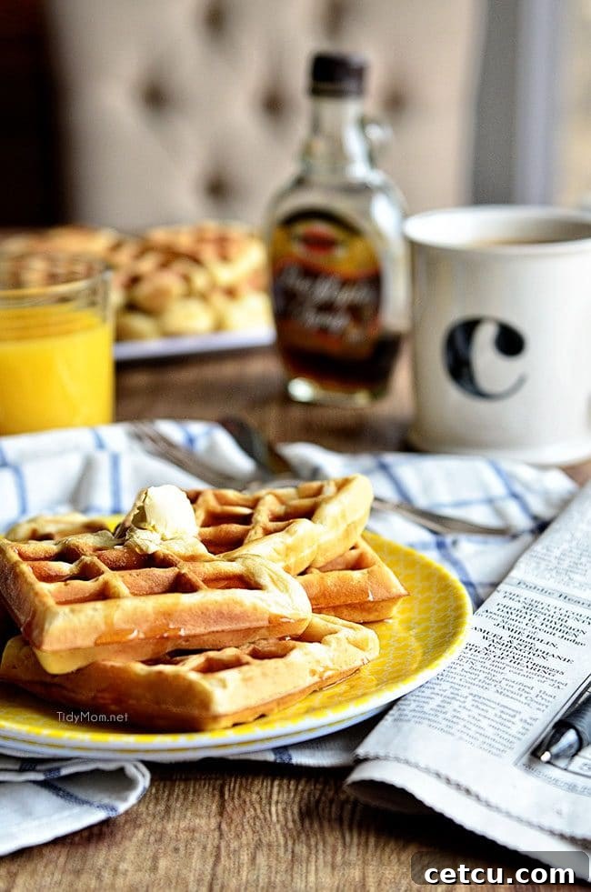 Our highly acclaimed Buttermilk Waffle recipe from TidyMom.net, perfect for any breakfast or brunch occasion.