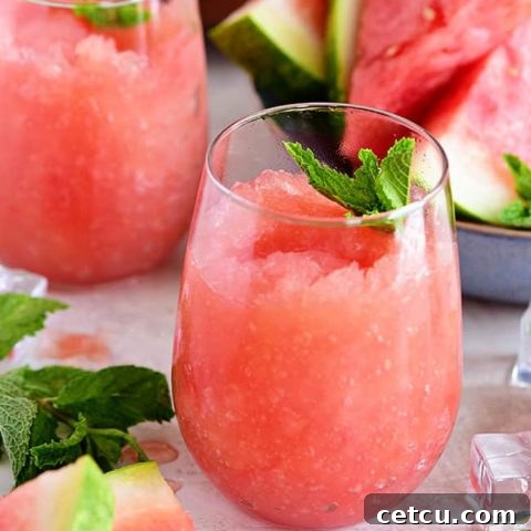 Take your bottle of Riesling to the next level with this recipe for a Watermelon Grapefruit Wine Slush. It's the backyard BBQ drink of the summer. Print full recipe at TidyMom.net