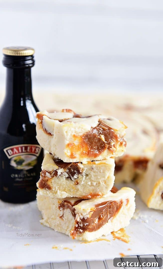 Baileys Fudge next to a bottle of Irish Cream and a glass.