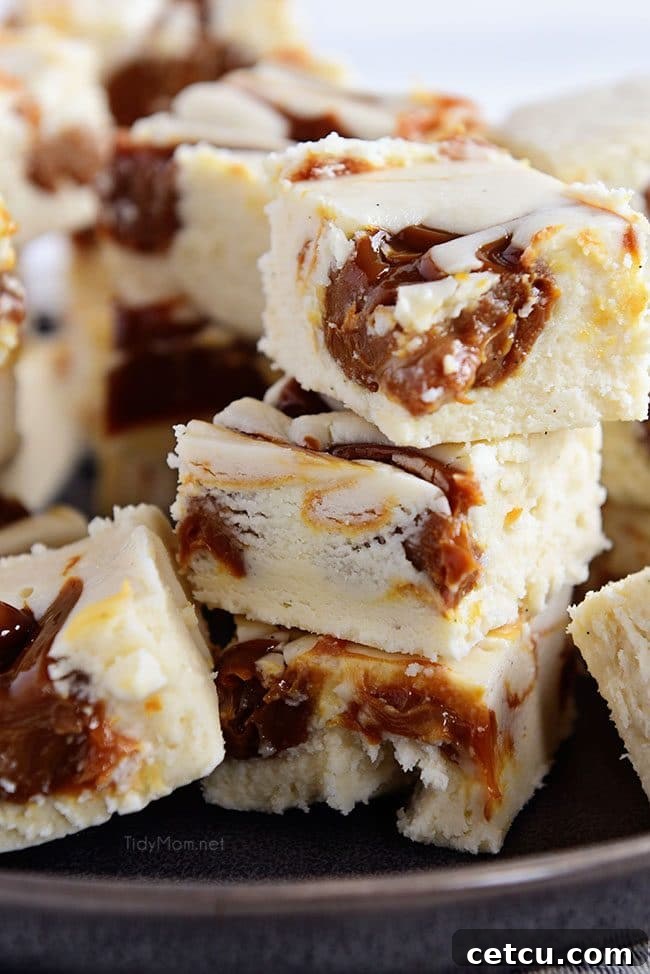 Baileys Fudge recipe showing the perfect balance of vanilla bean, Irish cream, and caramel.